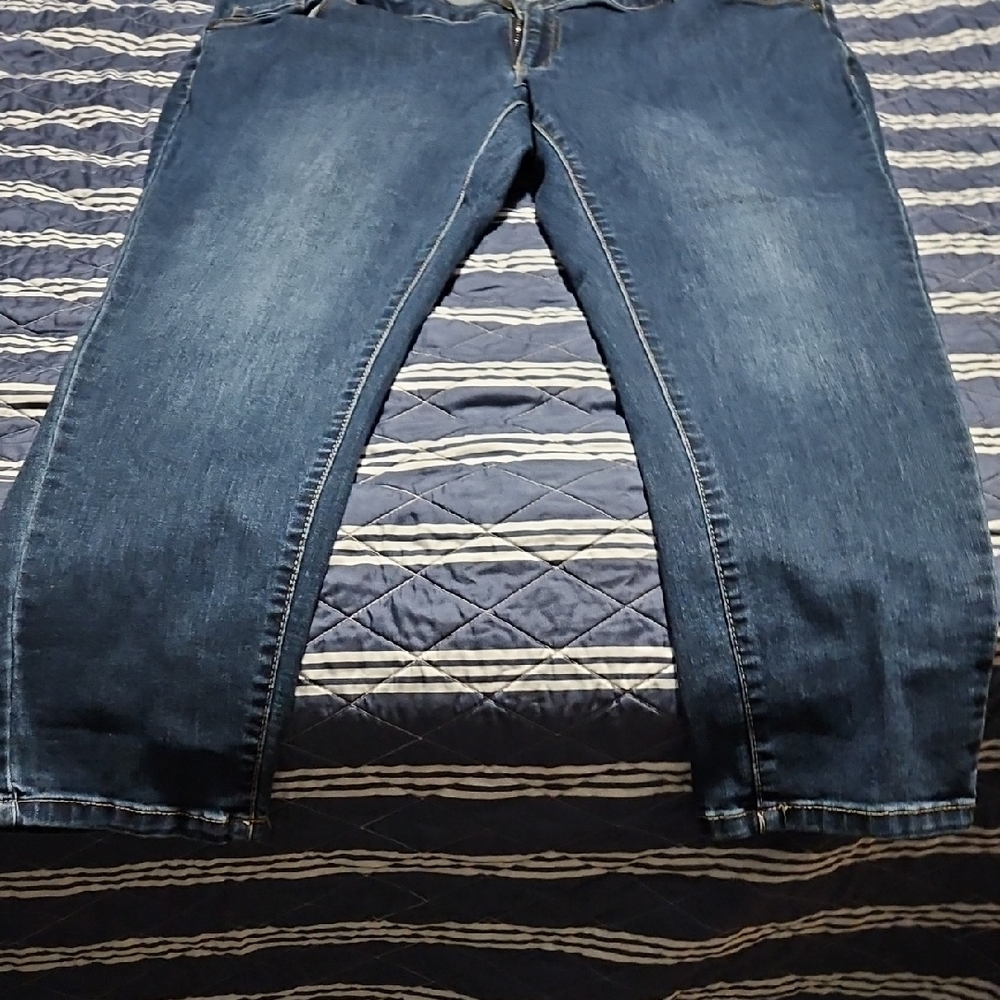 Woman Within Classic Blue Jeans